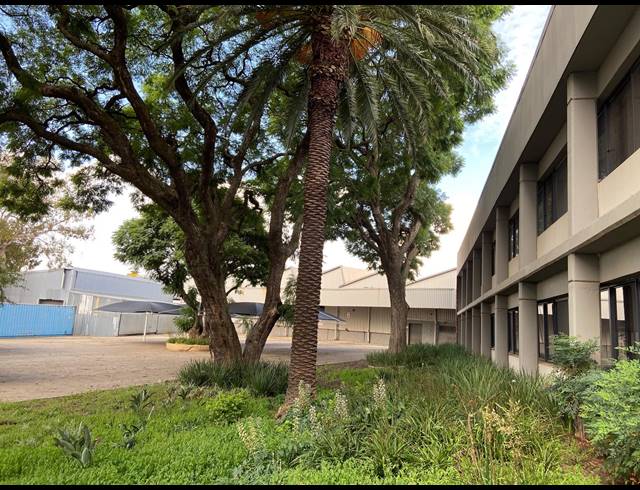 12,263M² WAREHOUSE TO LET IN WYNBERG